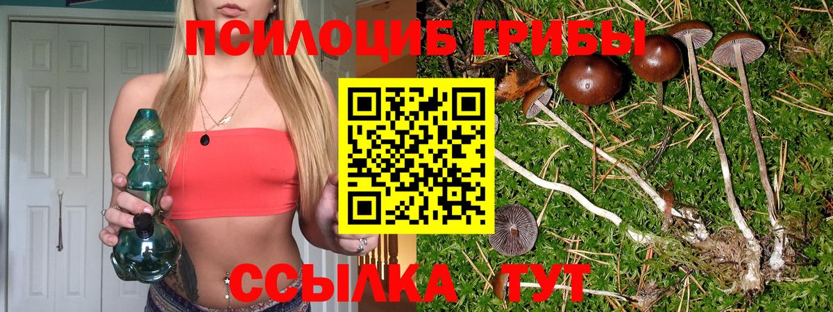 Сургут  Галлюциногенные грибы Magic Shrooms  Вход с VPN 