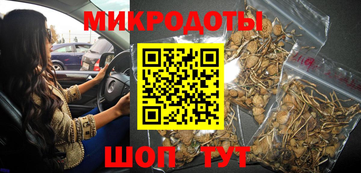 Псилоцибиновые грибы Psilocybine cubensis Сургут